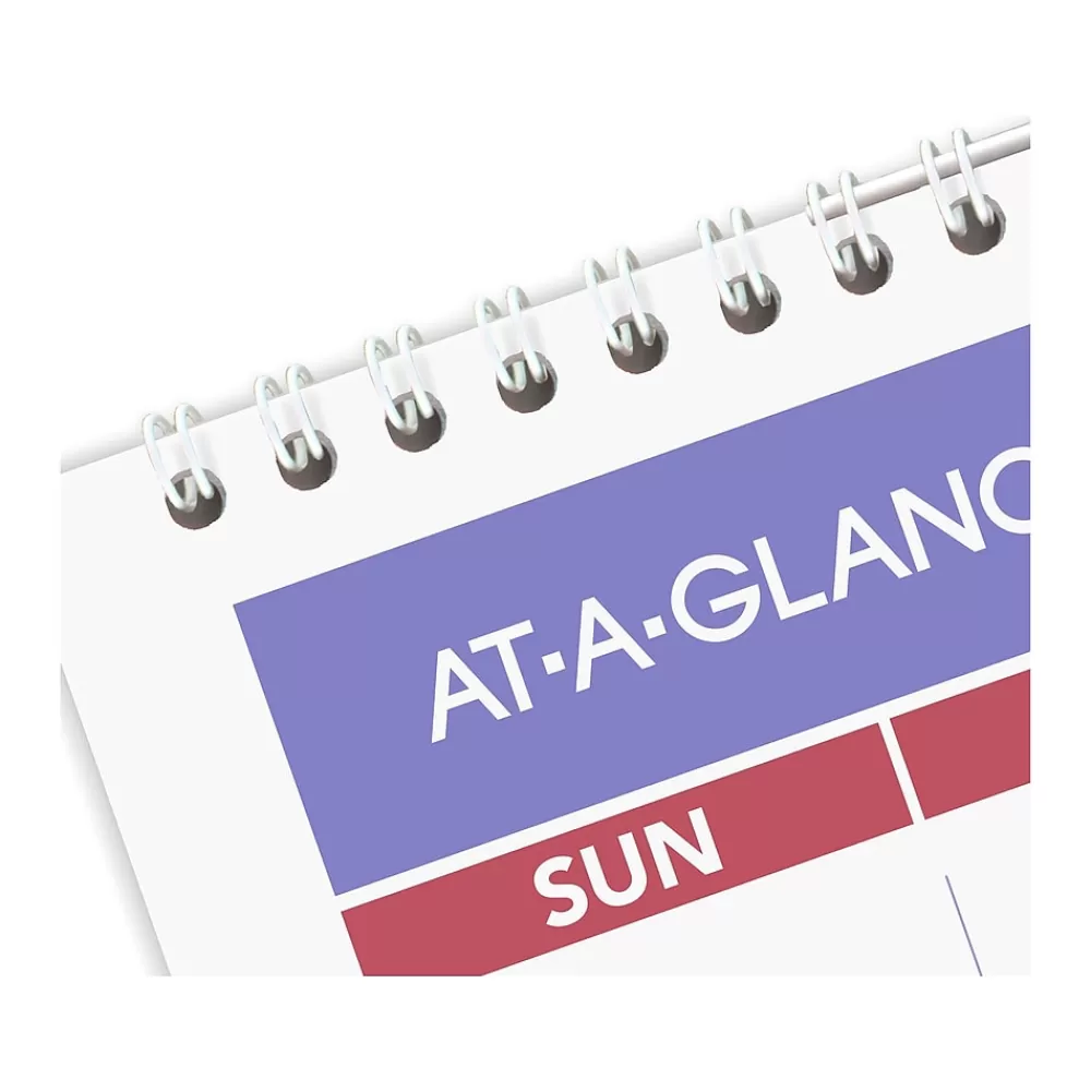 AT-A-GLANCE 2025 Calendars<2025 17" x 12" Monthly Wet-Erase Wall Calendar (PMLM02-28-25)