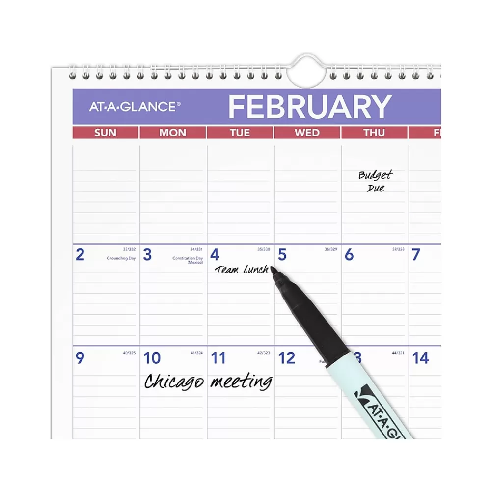 AT-A-GLANCE 2025 Calendars<2025 17" x 12" Monthly Wet-Erase Wall Calendar (PMLM02-28-25)