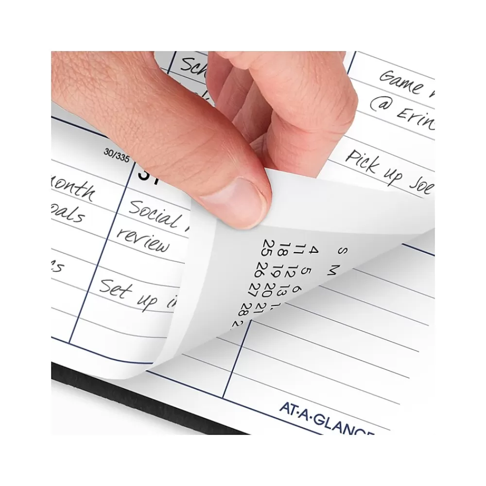 AT-A-GLANCE 2025 Planners<2025 DayMinder 8" x 12" Monthly Planner, Faux Leather Cover, Black (G470-00-25)