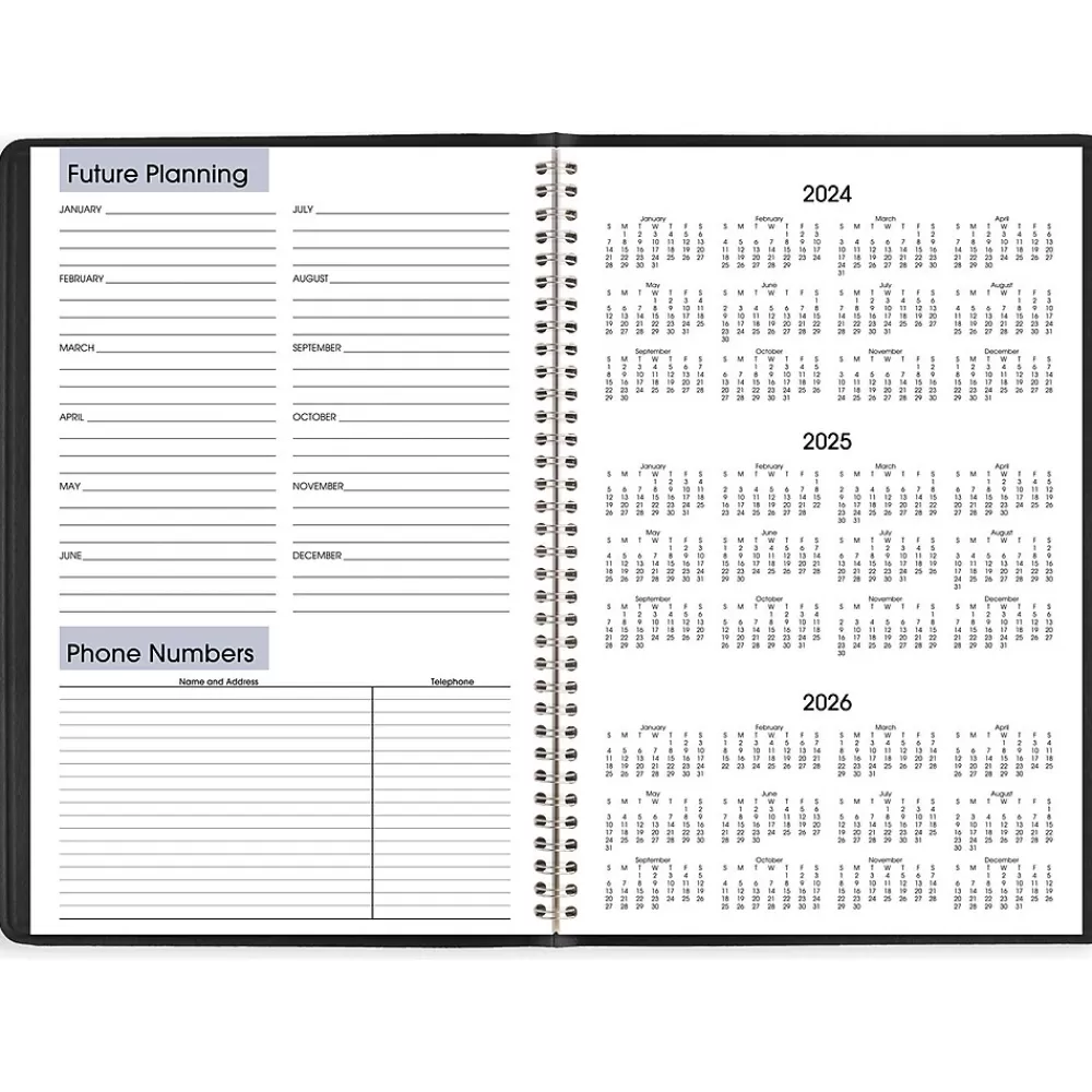 AT-A-GLANCE 2025 Planners<2025 DayMinder 8" x 12" Monthly Planner, Faux Leather Cover, Black (G470-00-25)