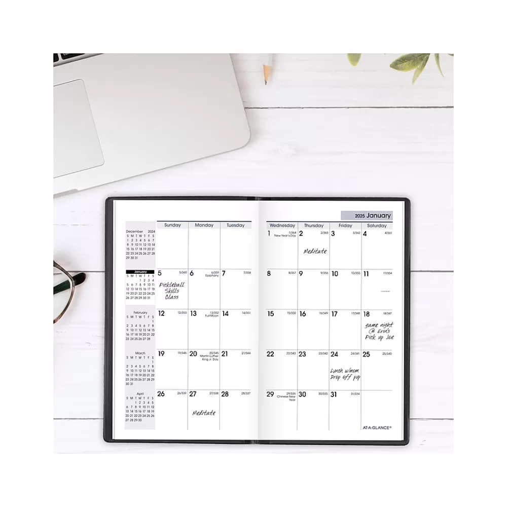 AT-A-GLANCE 2025 Planners<2025 DayMinder 3.5" x 6" Monthly Planner, Plastic Cover, Black (SK53-00-25)