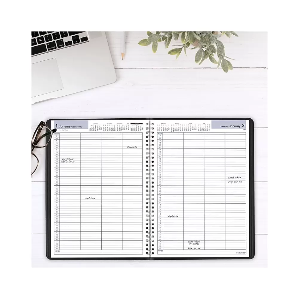 AT-A-GLANCE 2025 Planners<2025 DayMinder 8" x 11" 4-Person Daily Appointment Book, Faux Leather Cover, Black (G560-00-25)