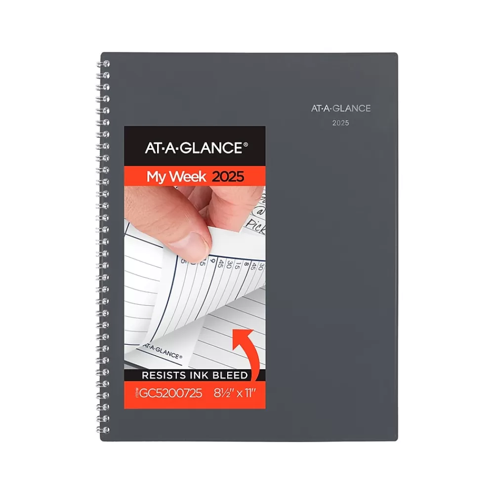 AT-A-GLANCE 2025 Planners<2025 DayMinder 8.5" x 11" Weekly & Monthly Appointment Book, Plastic Cover, Gray (GC520-07-25)