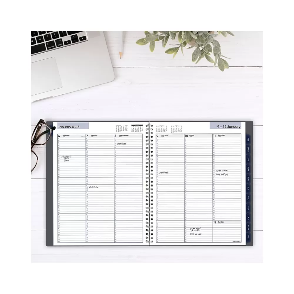 AT-A-GLANCE 2025 Planners<2025 DayMinder 8.5" x 11" Weekly & Monthly Appointment Book, Plastic Cover, Gray (GC520-07-25)
