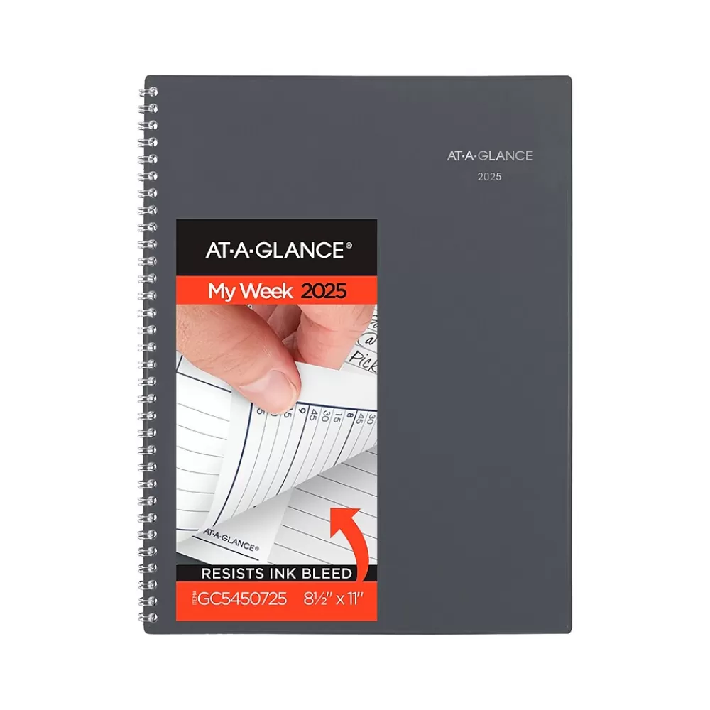 AT-A-GLANCE 2025 Planners<2025 DayMinder 8.5" x 11" Weekly & Monthly Planner, Poly Cover, Gray (GC545-07-25)