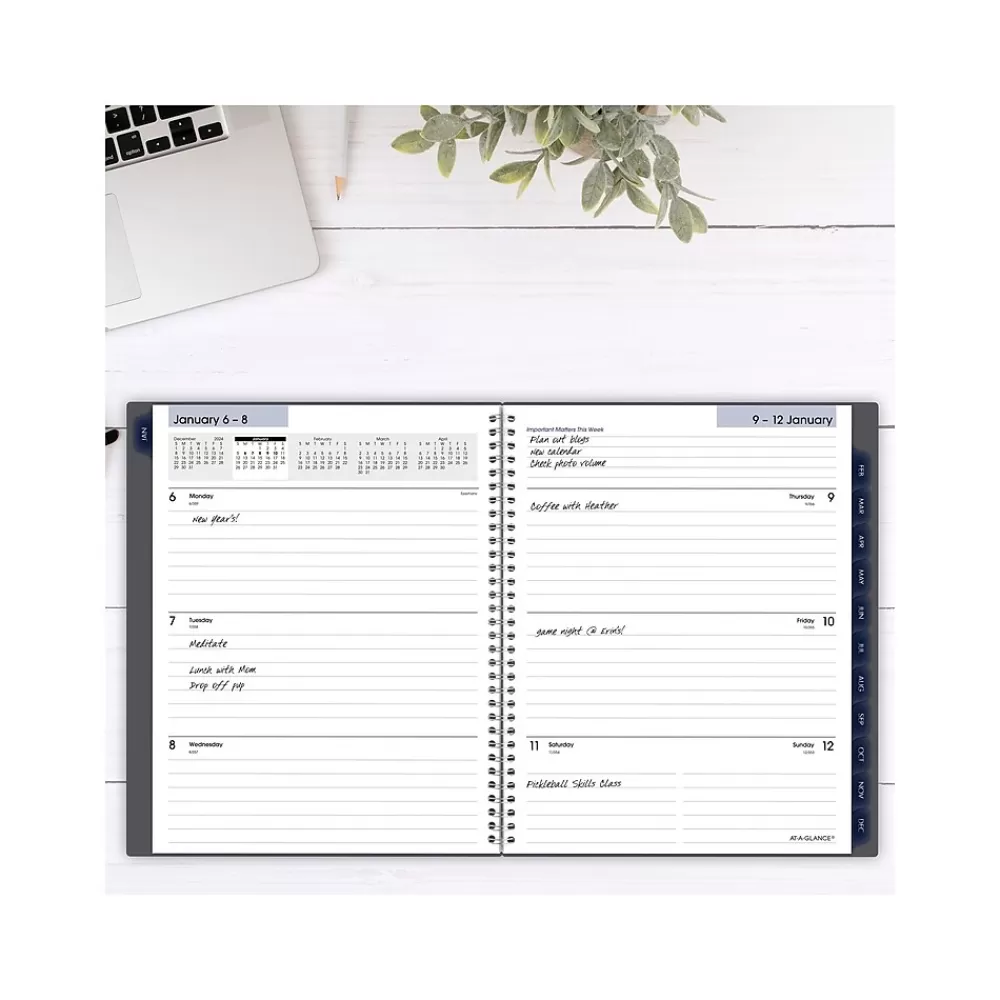 AT-A-GLANCE 2025 Planners<2025 DayMinder 8.5" x 11" Weekly & Monthly Planner, Poly Cover, Gray (GC545-07-25)