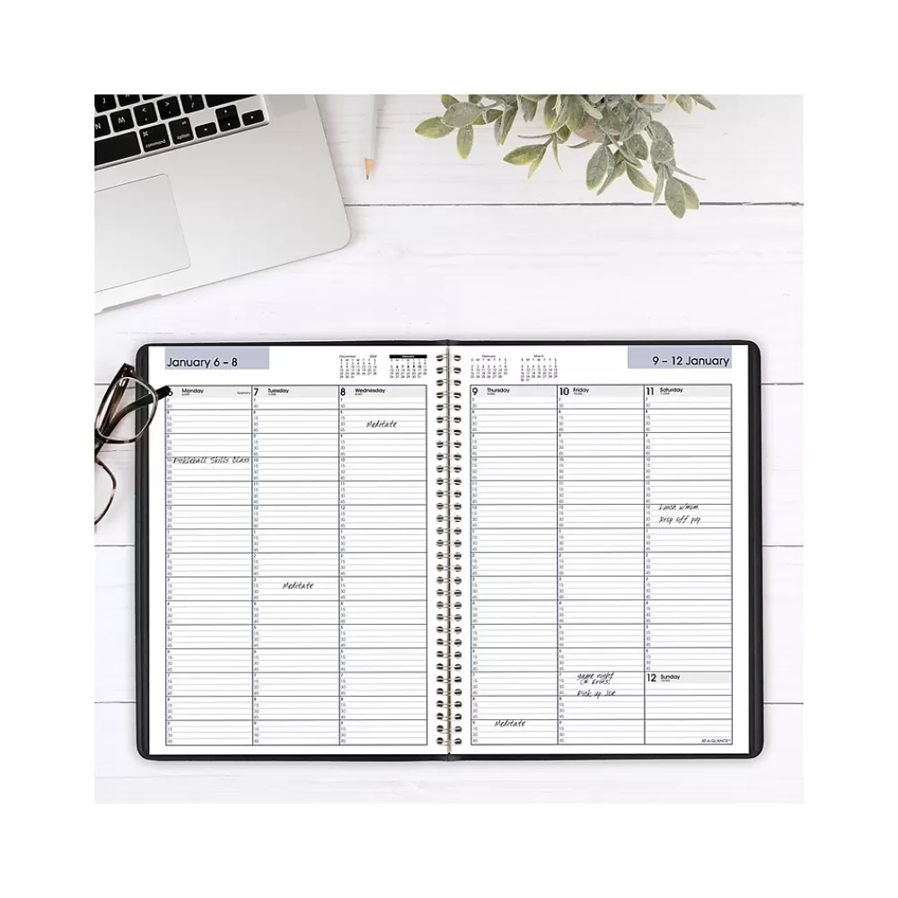 AT-A-GLANCE 2025 Planners<2025 DayMinder 8" x 11" Weekly Appointment Book, Faux Leather Cover, Black (G520-00-25)
