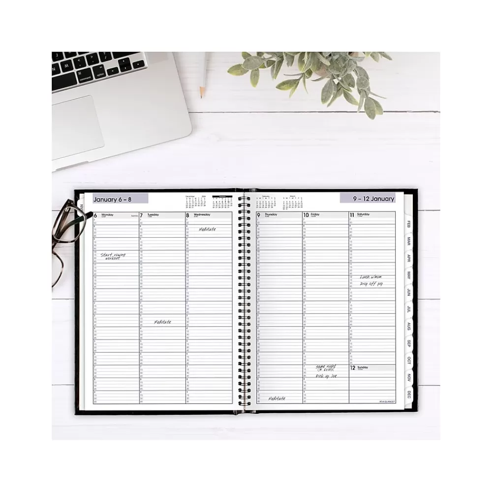 AT-A-GLANCE 2025 Planners<2025 DayMinder 8" x 11" Weekly Appointment Book Planner, Faux Leather Cover, Black (G520H-00-25)