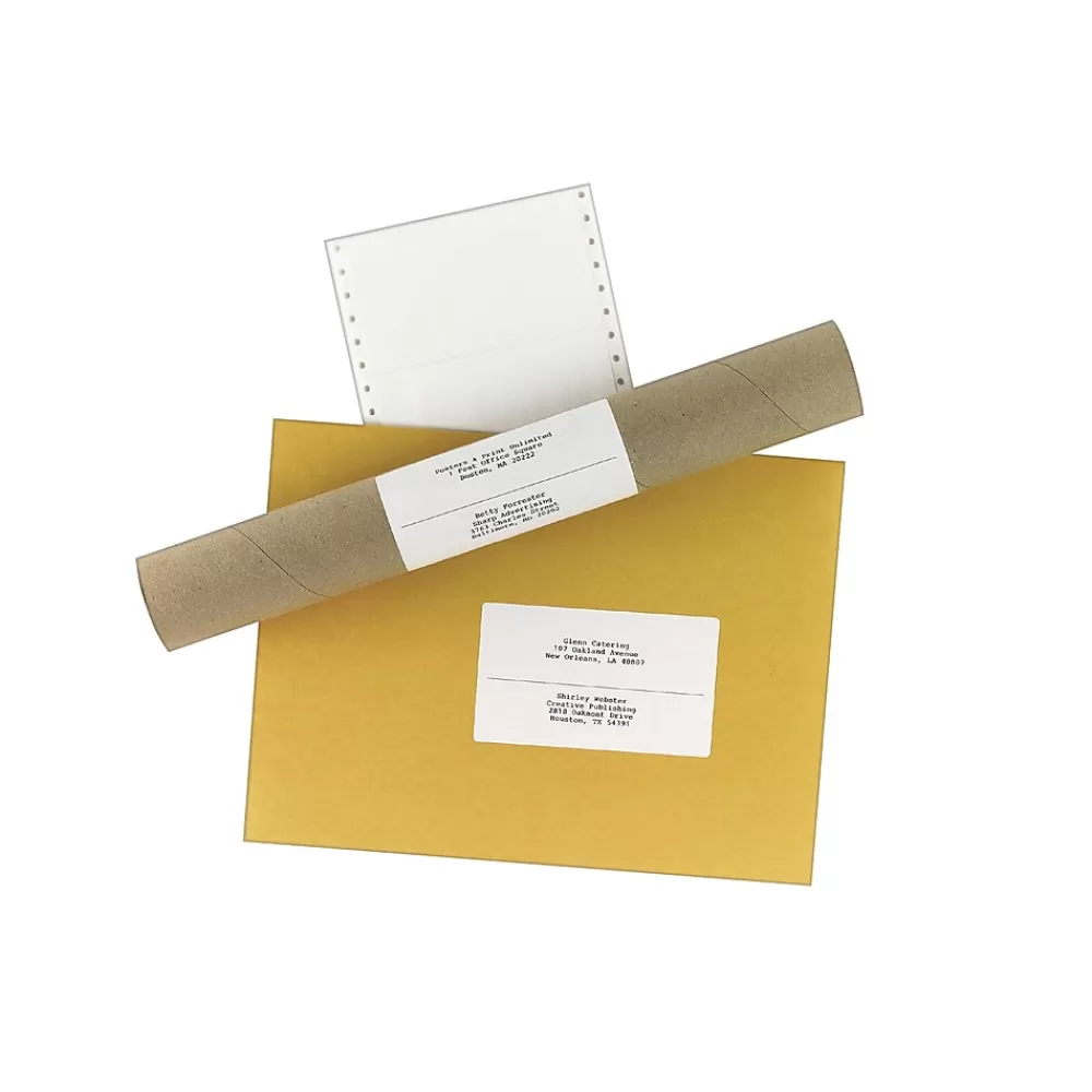 Avery Labels<Computer Labels, Dot Matrix Labels and Pin-Feed Labels, 2-15/16" x 5", White, 3,000 Labels/Pack (4076)