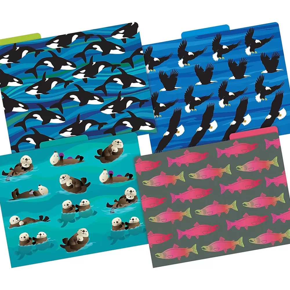 Barker Creek File Folders<Sea & Sky File Folder, 1/3-Cut Tab, Letter Size, Assorted, 12/Pack (2015)