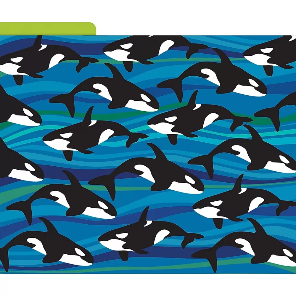 Barker Creek File Folders<Sea & Sky File Folder, 1/3-Cut Tab, Letter Size, Assorted, 12/Pack (2015)