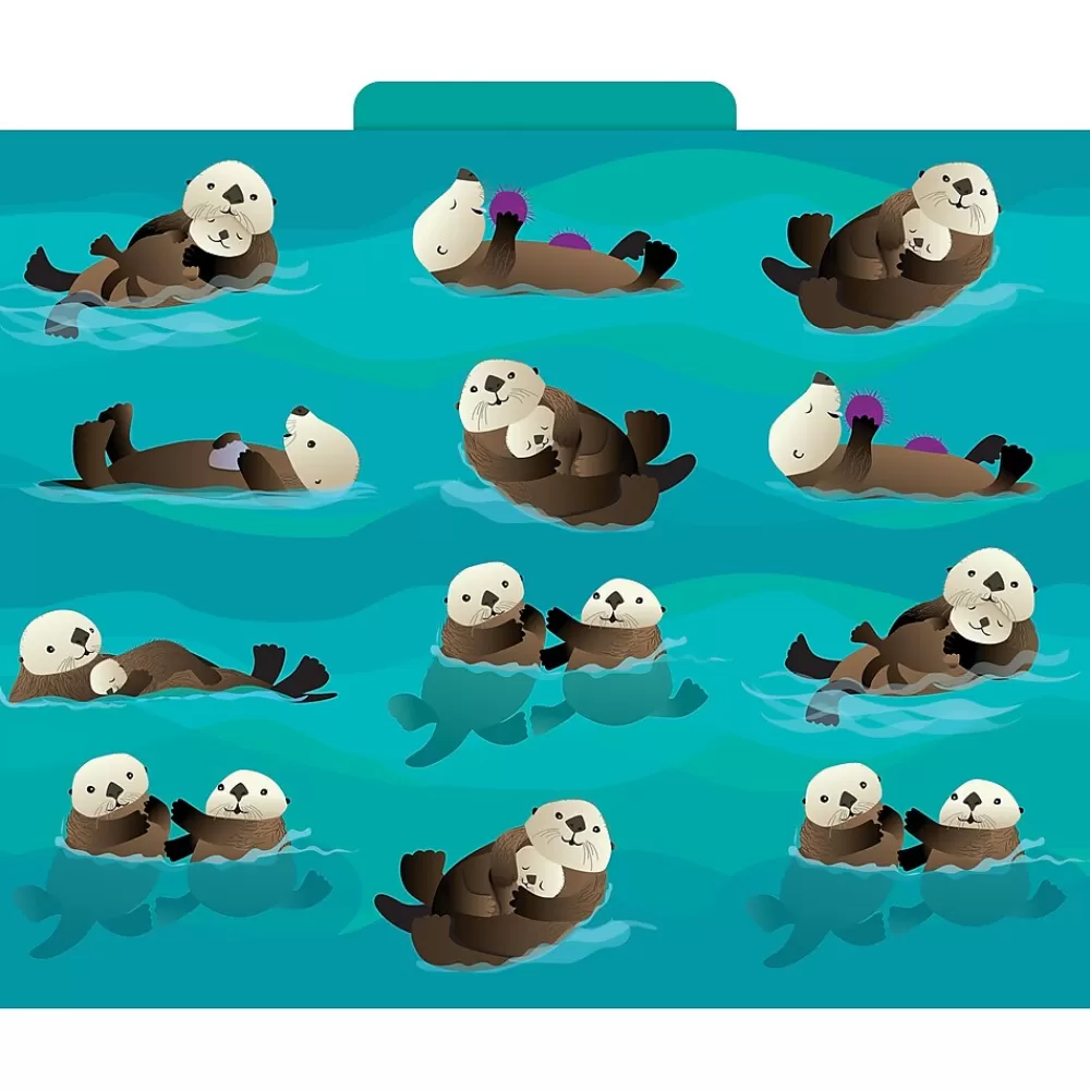 Barker Creek File Folders<Sea & Sky File Folder, 1/3-Cut Tab, Letter Size, Assorted, 12/Pack (2015)