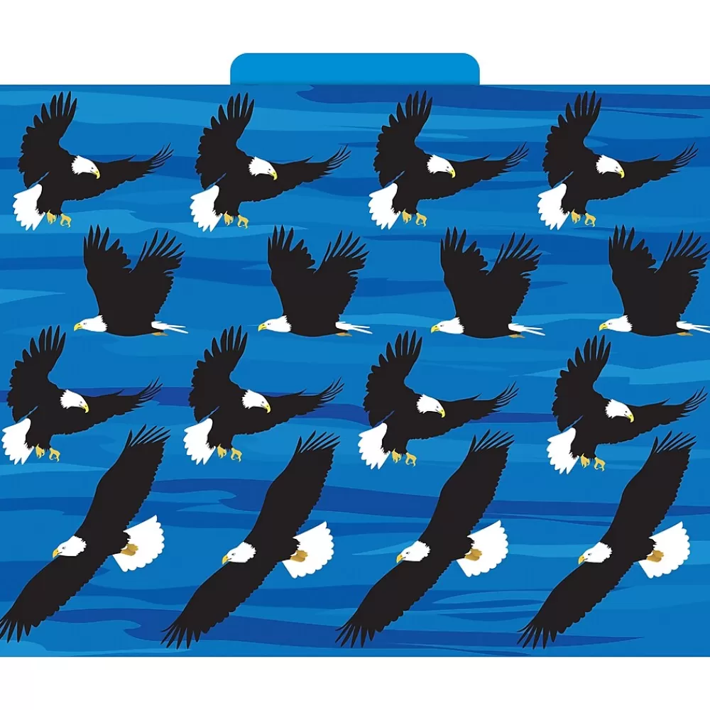 Barker Creek File Folders<Sea & Sky File Folder, 1/3-Cut Tab, Letter Size, Assorted, 12/Pack (2015)