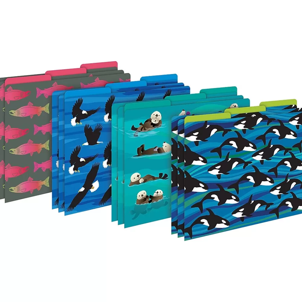 Barker Creek File Folders<Sea & Sky Otters File Folder, 1/3-Cut Tab, Letter Size, Assorted, 107/Set (146)