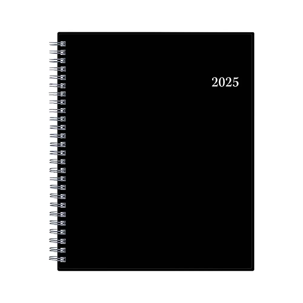 Blue Sky 2025 Planners<2025 7" x 9" Monthly Planner, Plastic Cover, Black (150855)