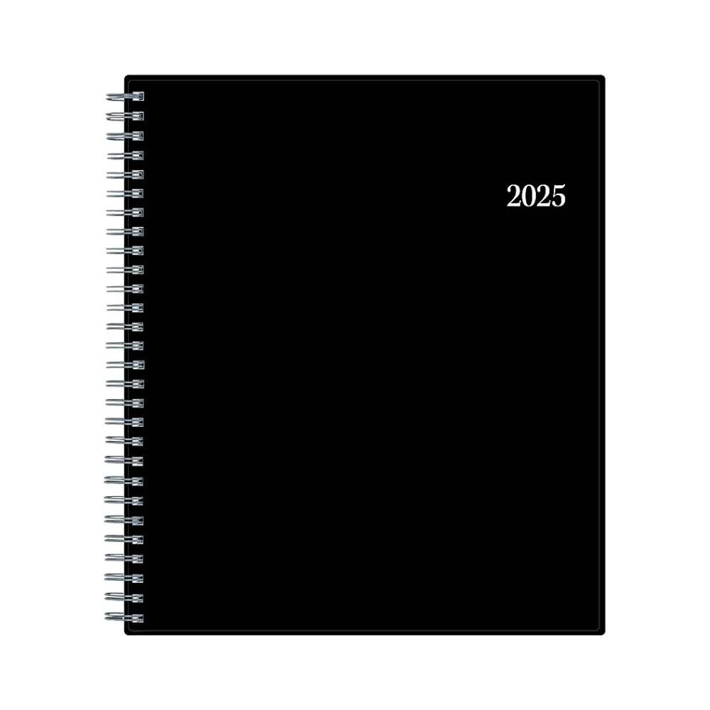 Blue Sky 2025 Planners<2025 8" x 10" Monthly Planner, Plastic Cover, Black (150853)