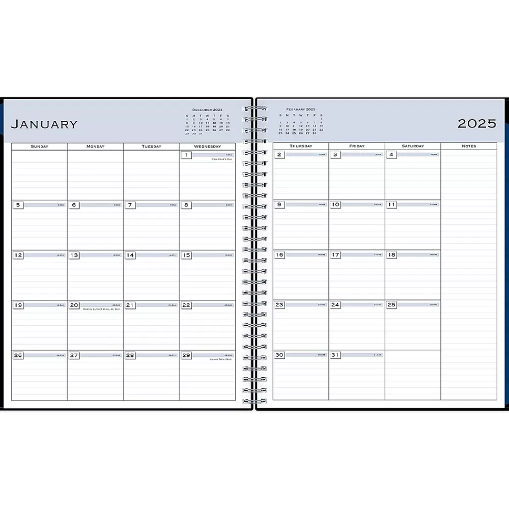 Blue Sky 2025 Planners<2025 8" x 10" Monthly Planner, Plastic Cover, Black (150853)