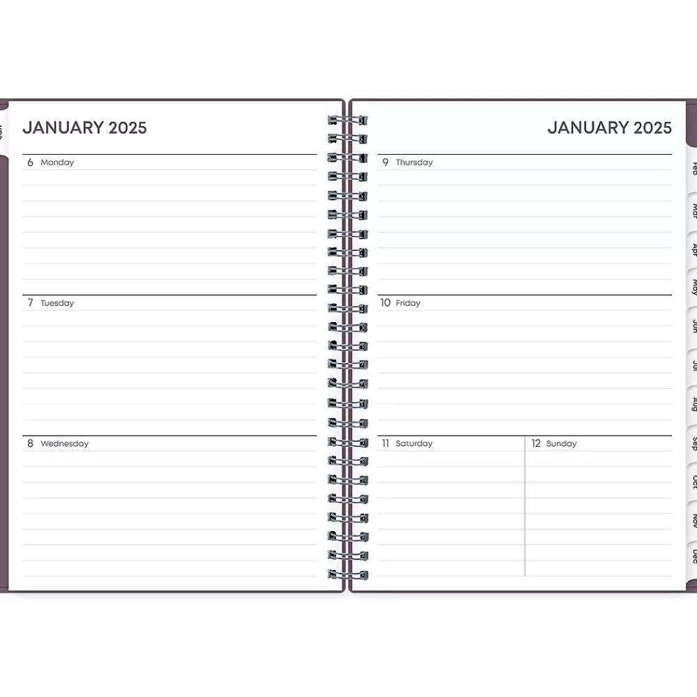 Blue Sky 2025 Planners<2025 5.88" x 8.63" Weekly & Monthly Planner, Plastic Cover, Purple (150540)