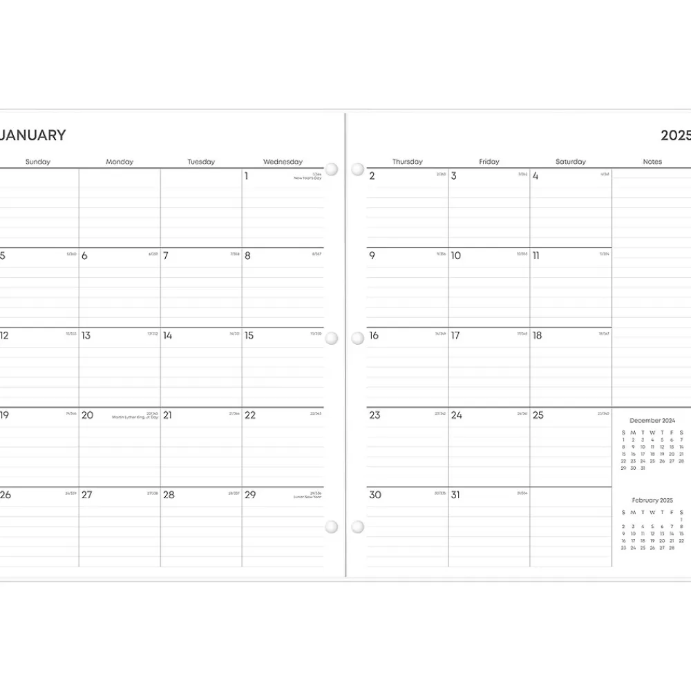 Blue Sky 2025 Planners<2025 Amalia 8.5" x 11" Monthly Planner, Plastic Cover, Multicolor (152534)