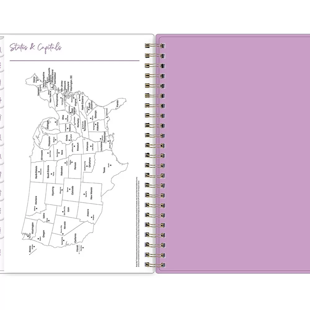 Blue Sky 2025 Planners<2025 Britt Mills Ella Bloom 5" x 8" Weekly & Monthly Planner, Plastic Cover, Multicolor (152471)