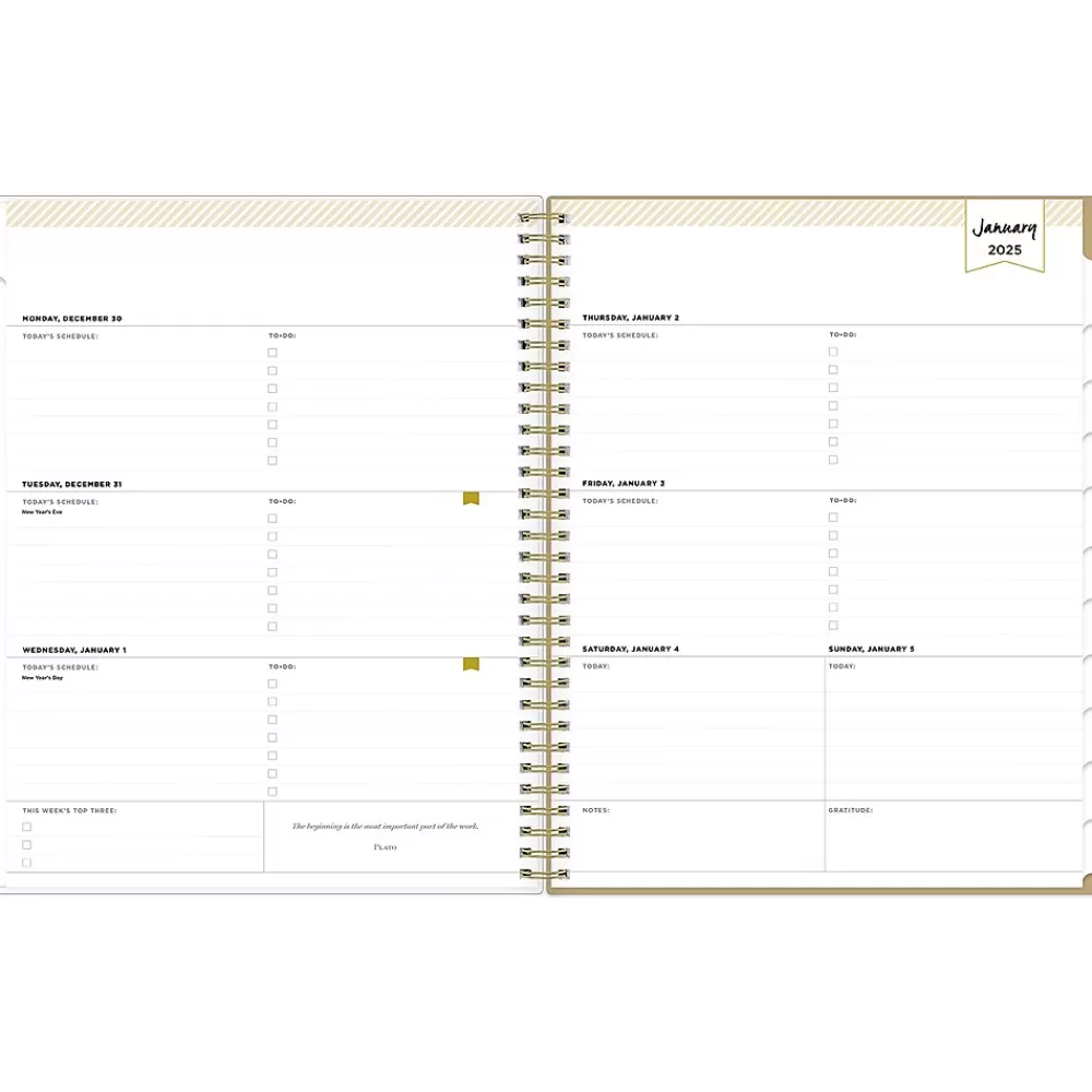 Blue Sky 2025 Planners<2025 Day Designer Gold Spotty 8.5" x 11" Weekly Planner, Plastic Cover, Gold/White (148132)