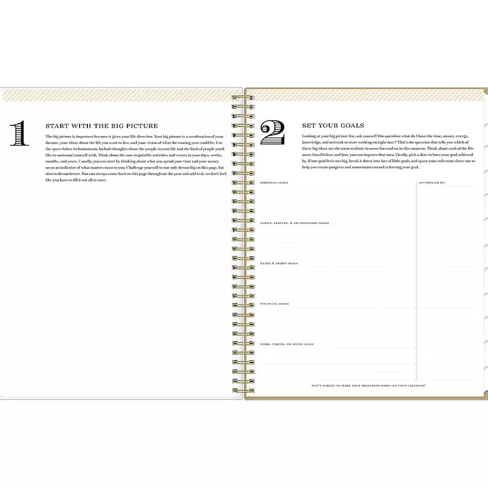 Blue Sky 2025 Planners<2025 Day Designer Gold Spotty 8.5" x 11" Weekly Planner, Plastic Cover, Gold/White (148132)