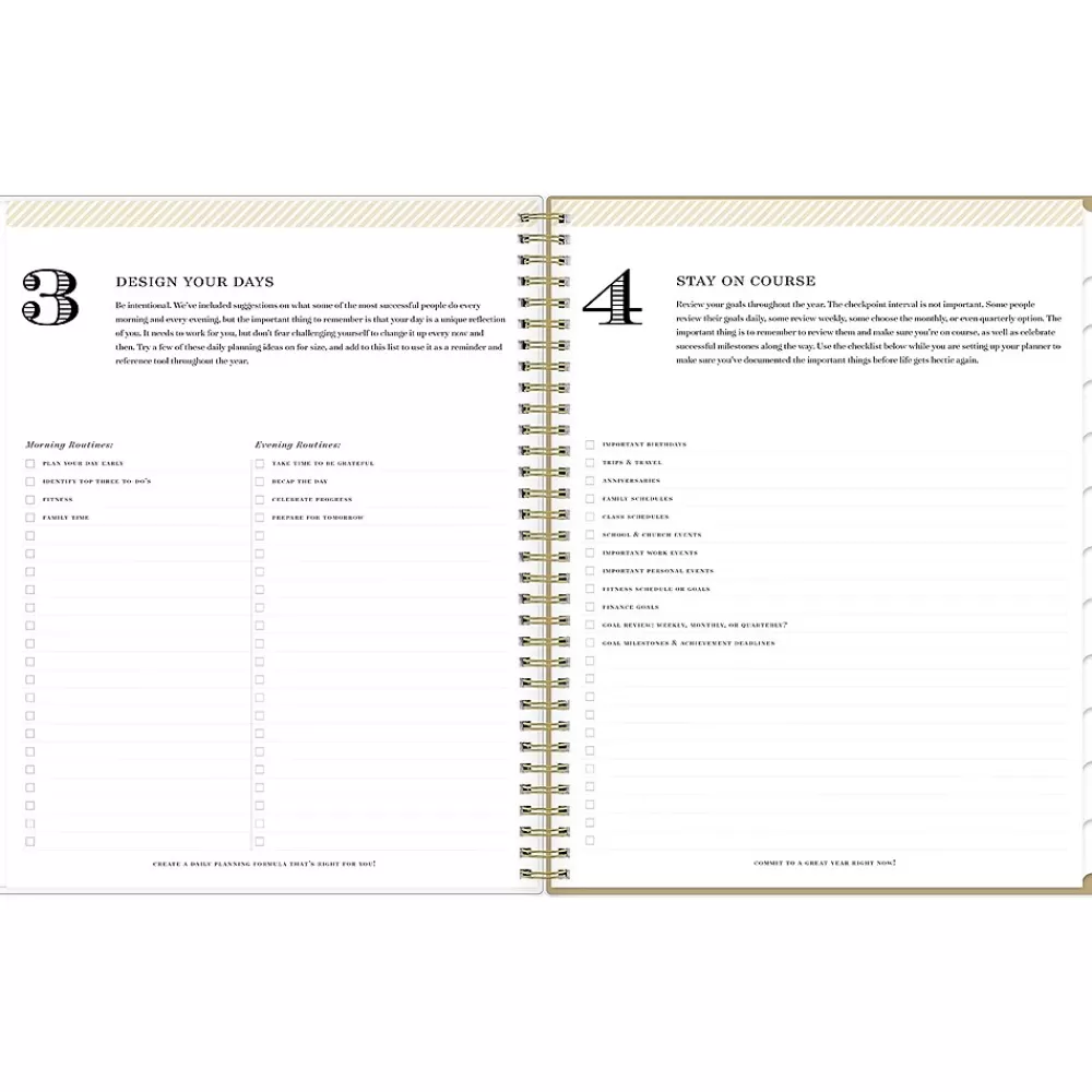 Blue Sky 2025 Planners<2025 Day Designer Gold Spotty 8.5" x 11" Weekly Planner, Plastic Cover, Gold/White (148132)
