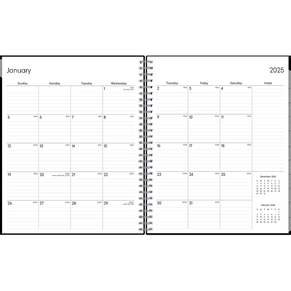 Blue Sky 2025 Planners<2025 Enterprise 8" x 10" Monthly Planner, Plastic Cover, Black (131794-25)