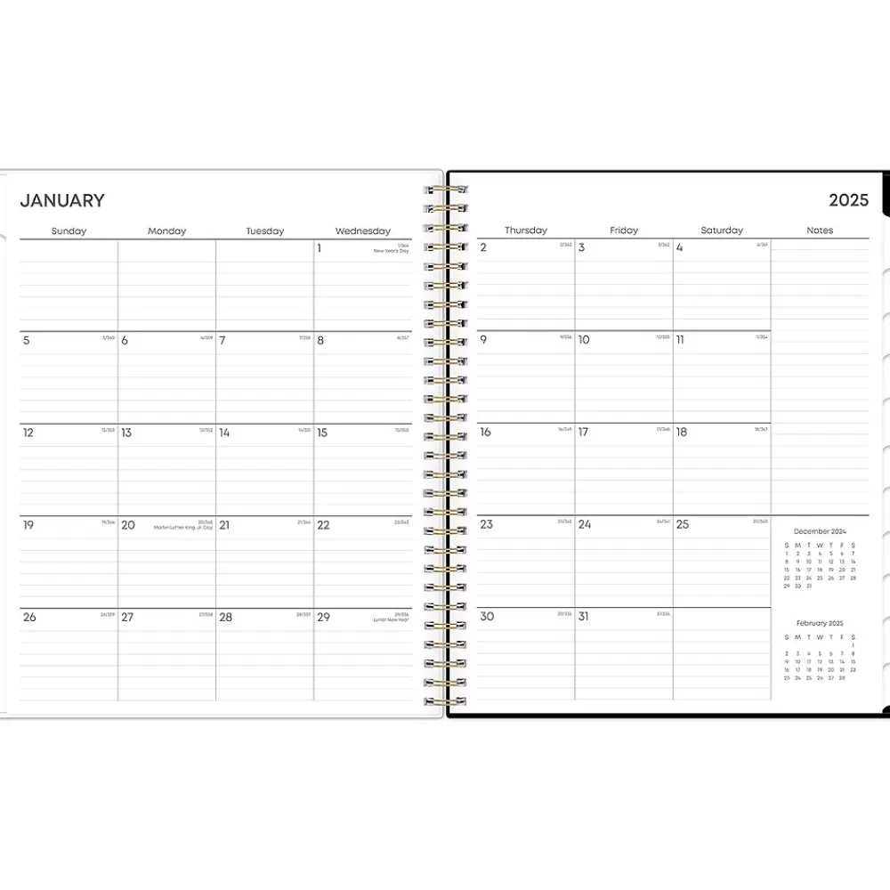 Blue Sky 2025 Planners<2025 Lolani 8" x 10" Monthly Planner, Plastic Cover, Green/Gray (147966)