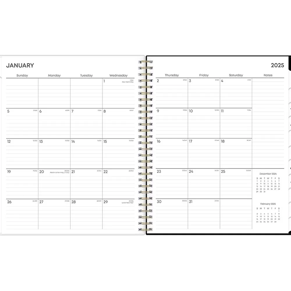 Blue Sky 2025 Planners<2025 Nevaeh 8" x 10" Monthly Planner, Plastic Cover, Multicolor (143947-25)