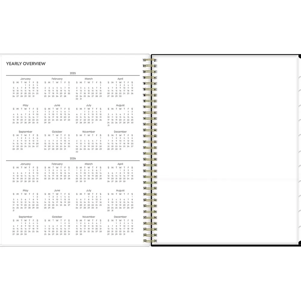 Blue Sky 2025 Planners<2025 Nevaeh 8.5" x 11" Weekly & Monthly Planner, Plastic Cover, Multicolor (143945-25)