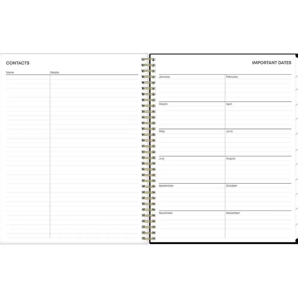 Blue Sky 2025 Planners<2025 Nevaeh 8.5" x 11" Weekly & Monthly Planner, Plastic Cover, Multicolor (143945-25)