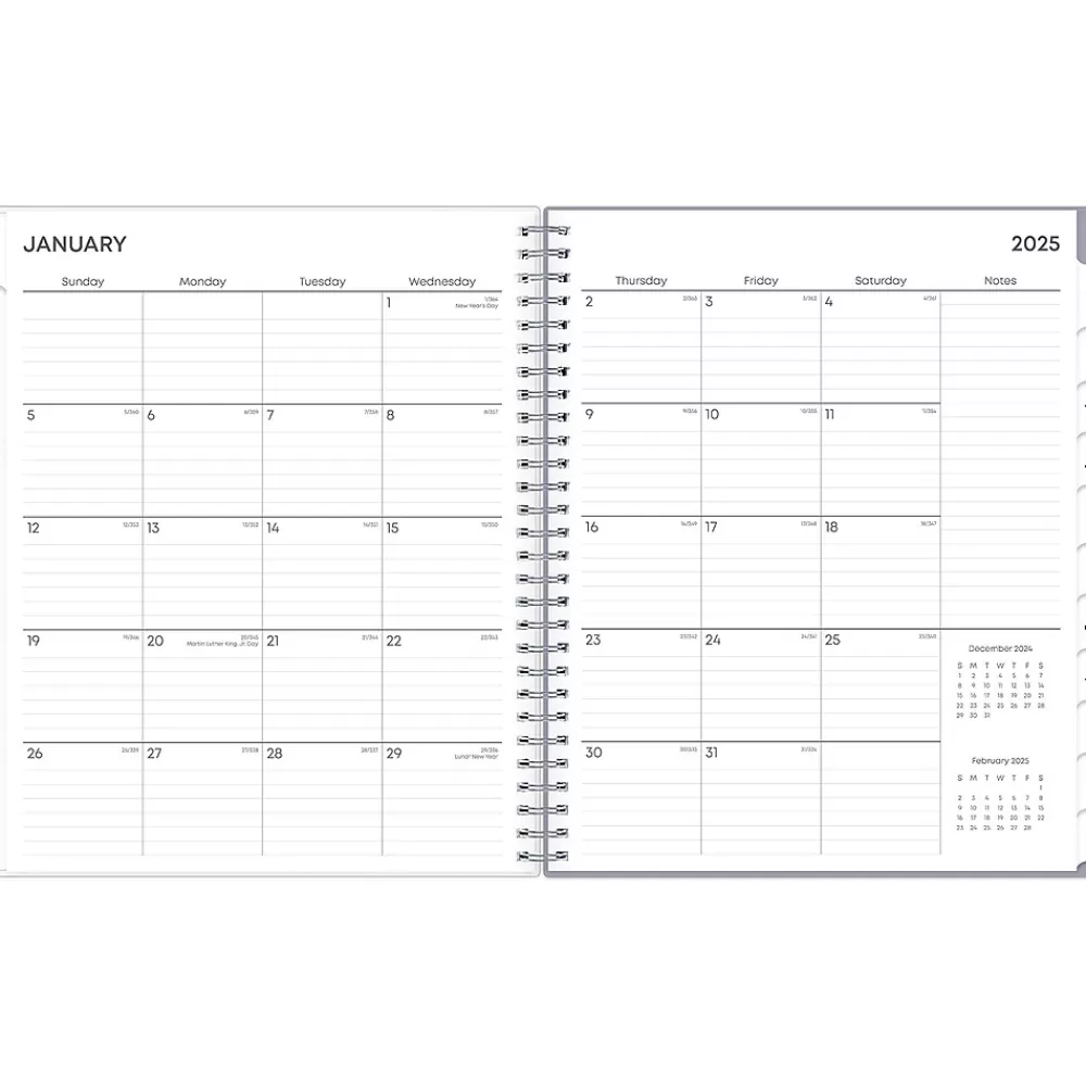 Blue Sky 2025 Planners<2025 Rue Du Flore 8" x 10" Monthly Planner, Plastic Cover, Green/Gray (101605-25)