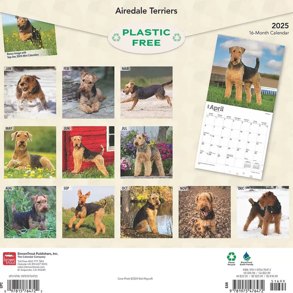 BrownTrout 2025 Calendars<2025 Airedale Terriers 12" x 12" Monthly Wall Calendar (9781975476472)