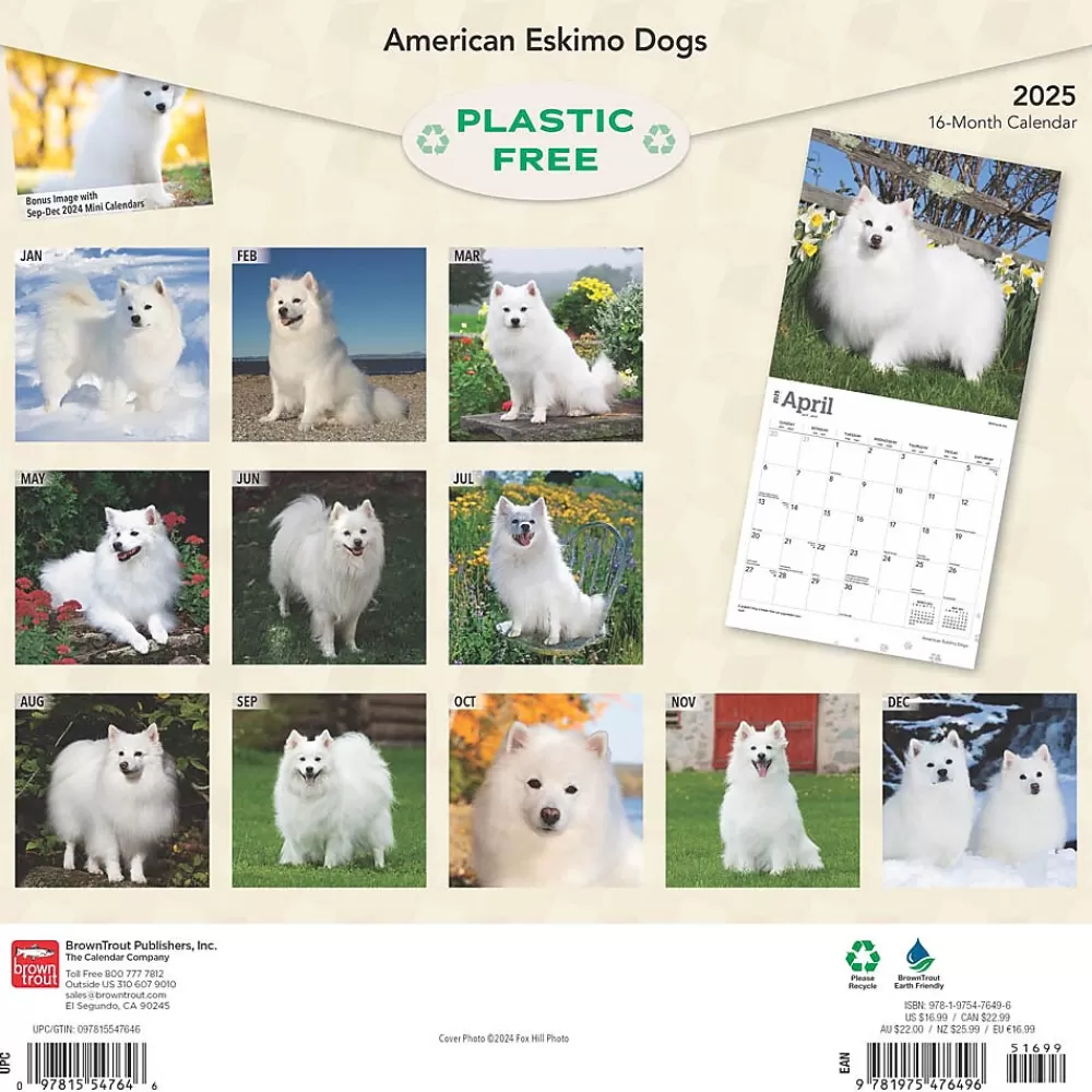 BrownTrout 2025 Calendars<2025 American Eskimo Dogs 12" x 24" Monthly Square Wall Calendar (9781975476496)