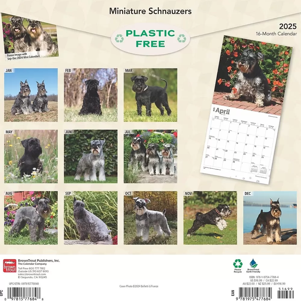 BrownTrout 2025 Calendars<2025 ature Schnauzers 12" x 12" Monthly Wall Calendar (9781975477684)