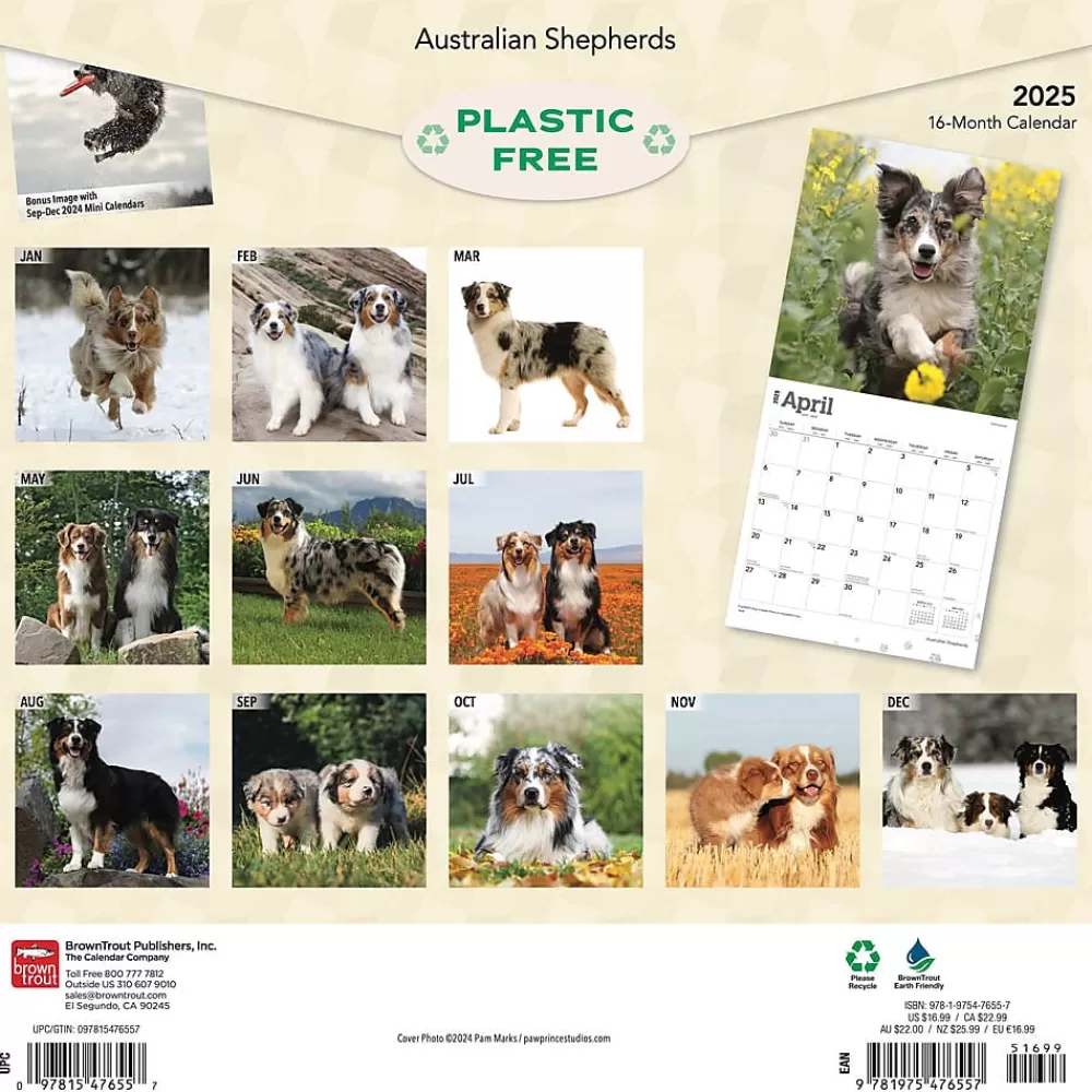 BrownTrout 2025 Calendars<2025 Australian Shepherds 12" x 12" Monthly Wall Calendar (9781975476557)