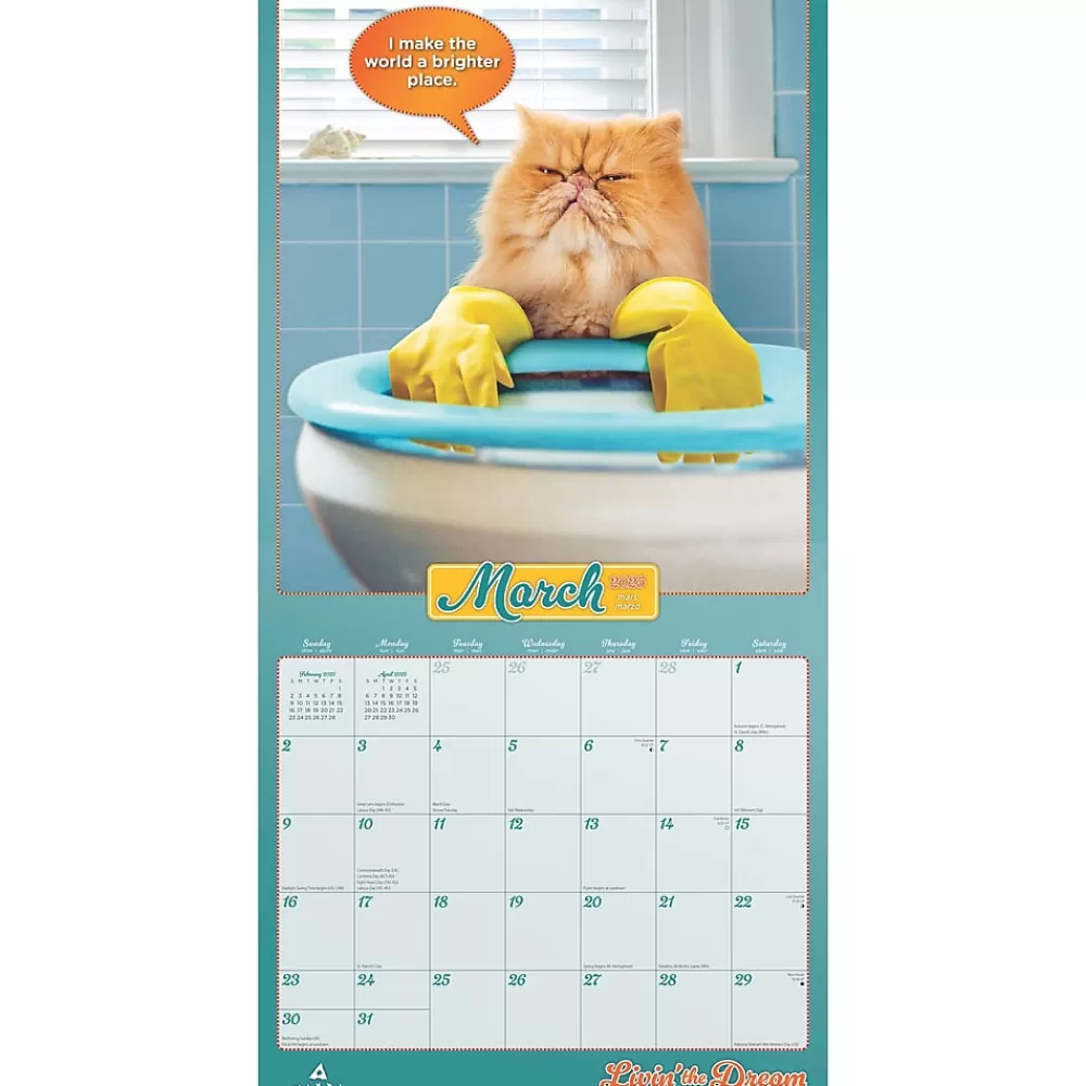 BrownTrout 2025 Calendars<2025 Avanti Livin' the Dream 12" x 12" Monthly Square Wall Calendar (9781975479695)