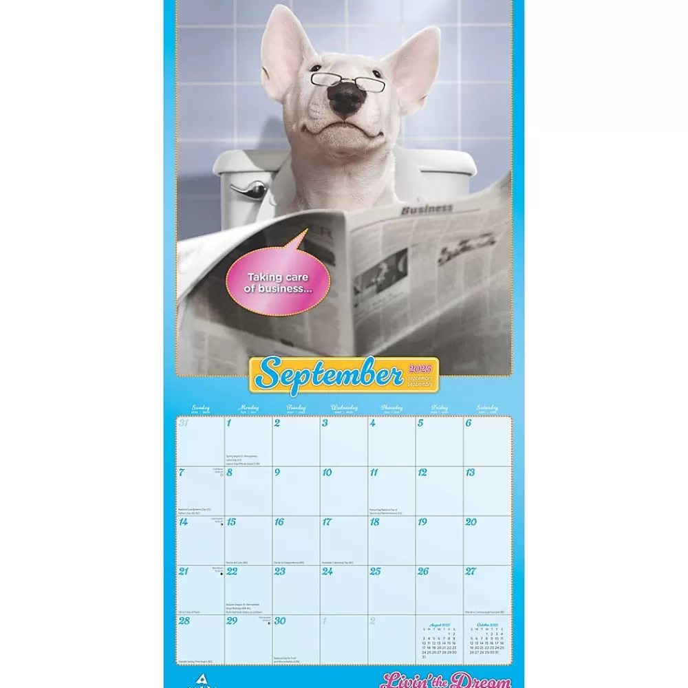 BrownTrout 2025 Calendars<2025 Avanti Livin' the Dream 12" x 12" Monthly Square Wall Calendar (9781975479695)
