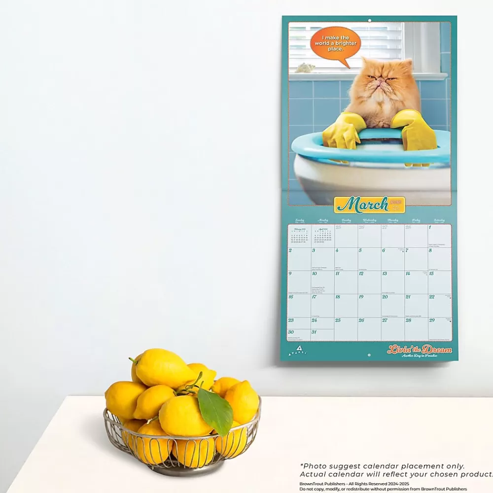 BrownTrout 2025 Calendars<2025 Avanti Livin' the Dream 12" x 12" Monthly Square Wall Calendar (9781975479695)