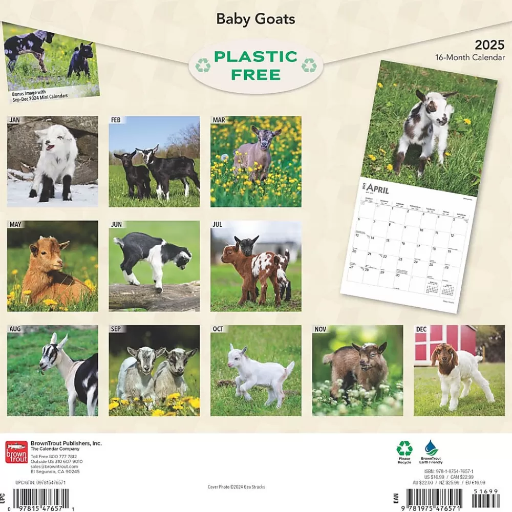 BrownTrout 2025 Calendars<2025 Baby Goats 12" x 12" Monthly Wall Calendar (9781975476571)