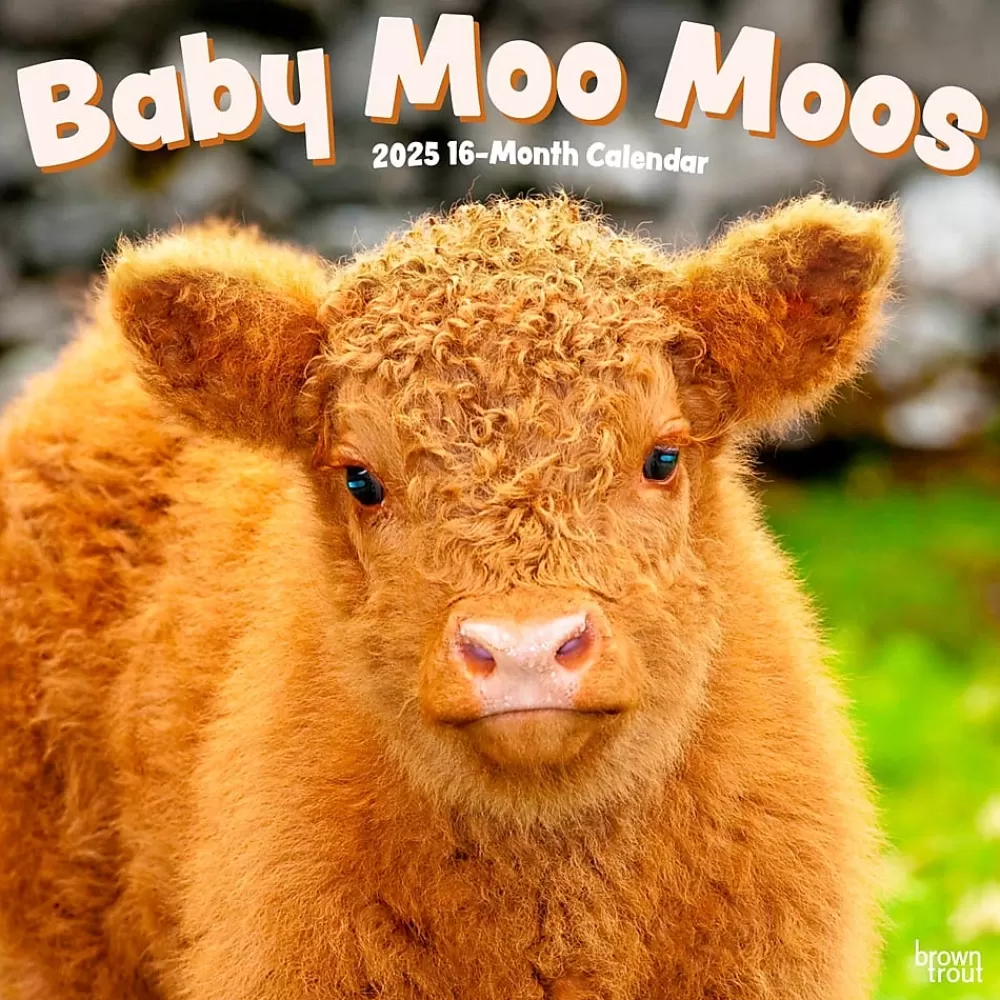 BrownTrout 2025 Calendars<2025 Baby Moo Moos 12" x 12" Monthly Wall Calendar (9781975476588)