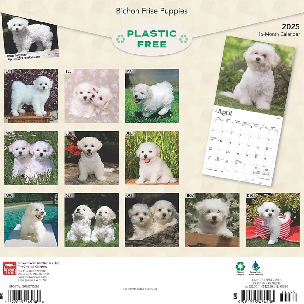 BrownTrout 2025 Calendars<2025 Bichon Frise Puppies 12" x 12" Monthly Wall Calendar (9781975474508)