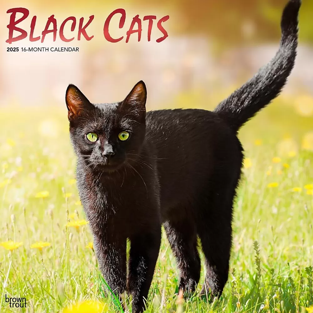 BrownTrout 2025 Calendars<2025 Black Cats 12" x 12" Monthly Wall Calendar (9781975476649)