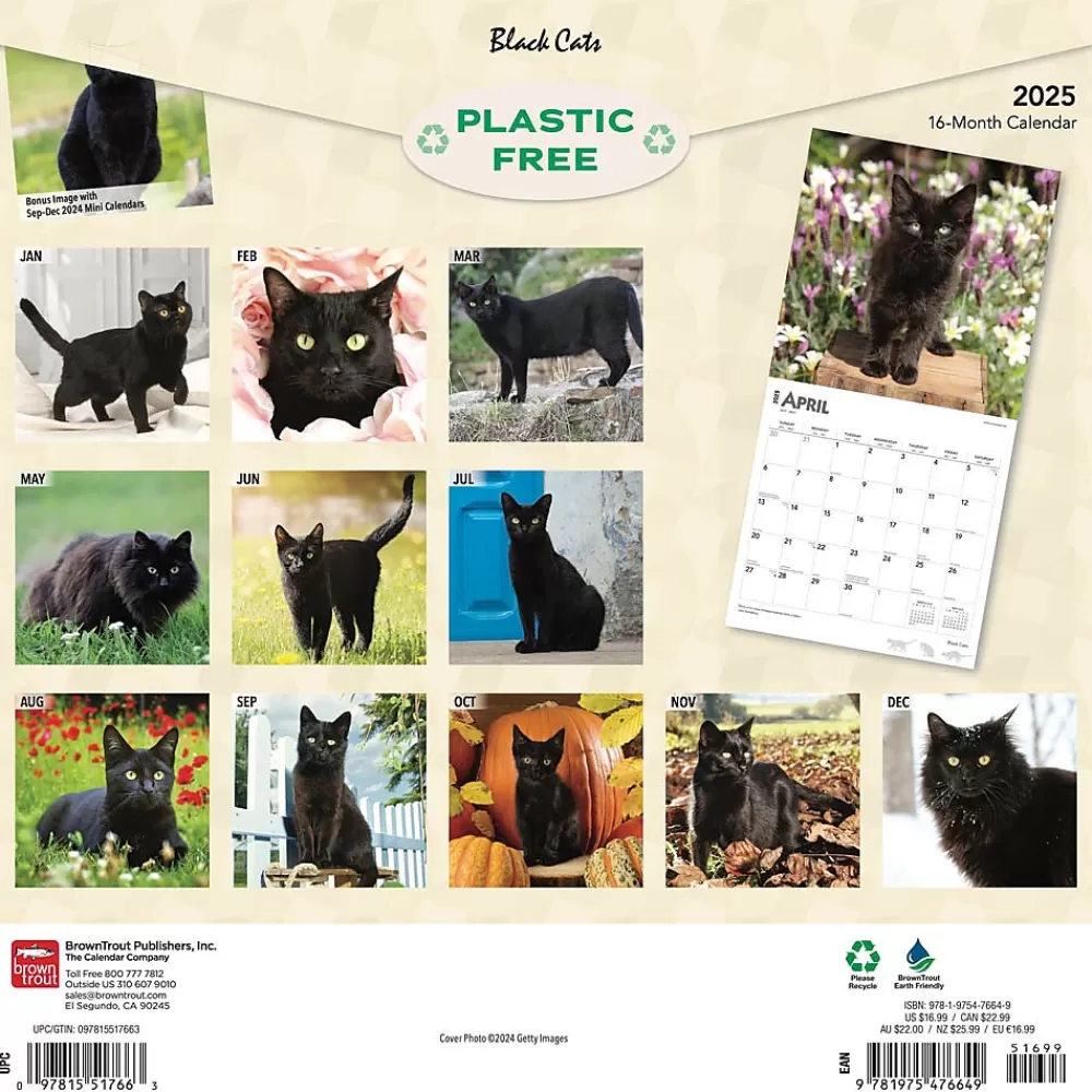 BrownTrout 2025 Calendars<2025 Black Cats 12" x 12" Monthly Wall Calendar (9781975476649)