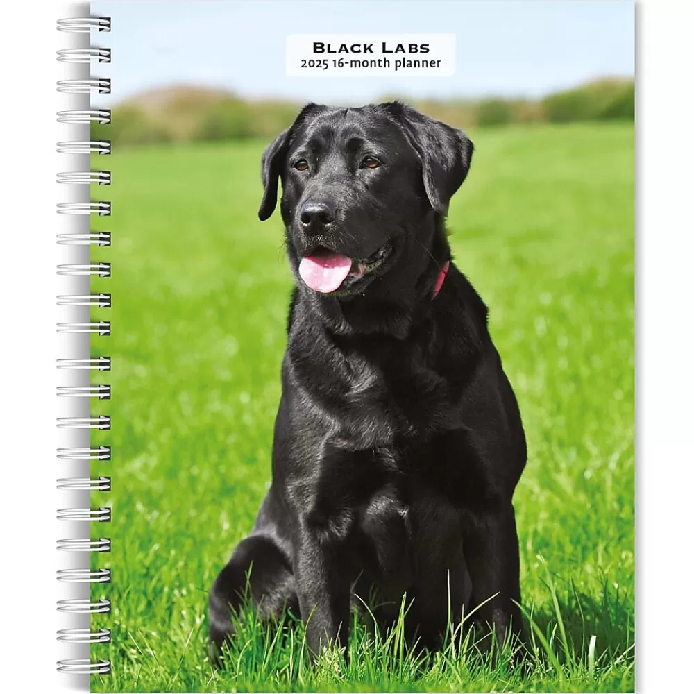 BrownTrout 2025 Planners<2025 Black Labrador Retrievers 6" x 7.75" Weekly Engagement Planner, Paper Cover, Multicolored (9781975473235)