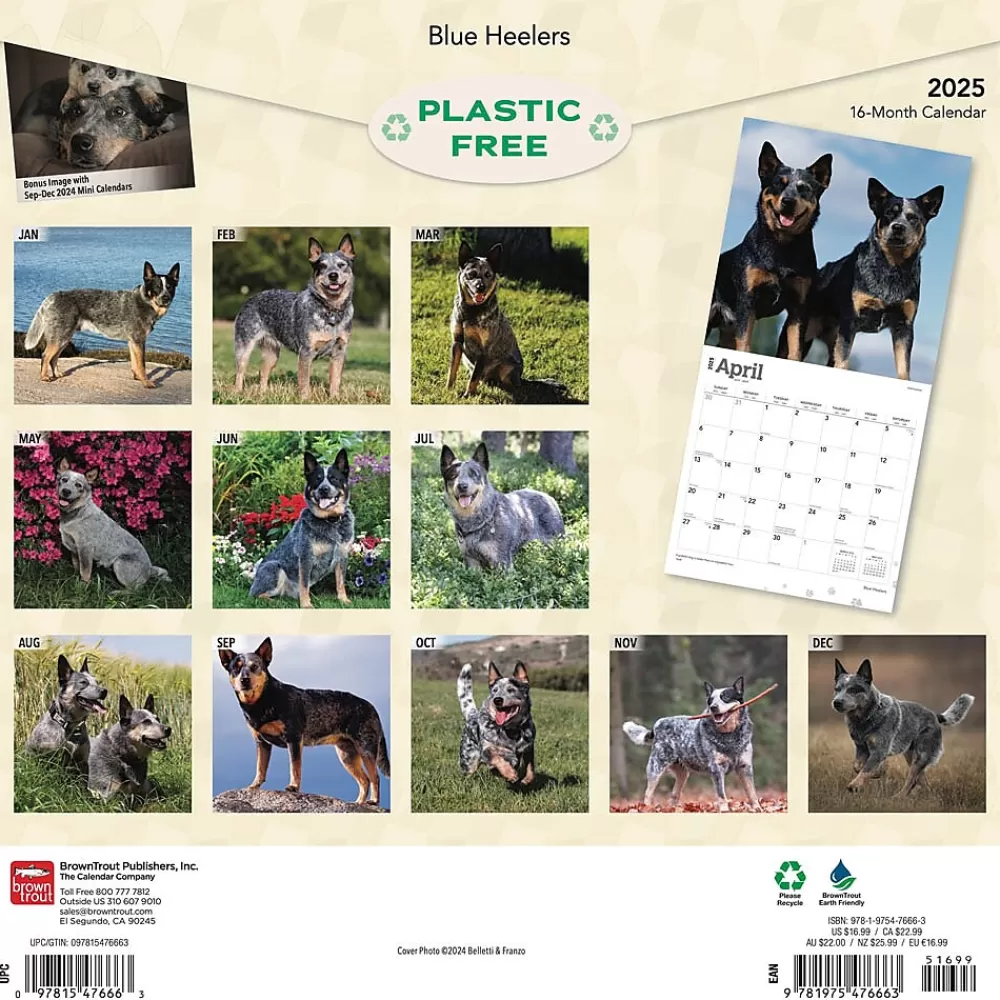 BrownTrout 2025 Calendars<2025 Blue Heelers 12" x 12" Monthly Wall Calendar (9781975476663)