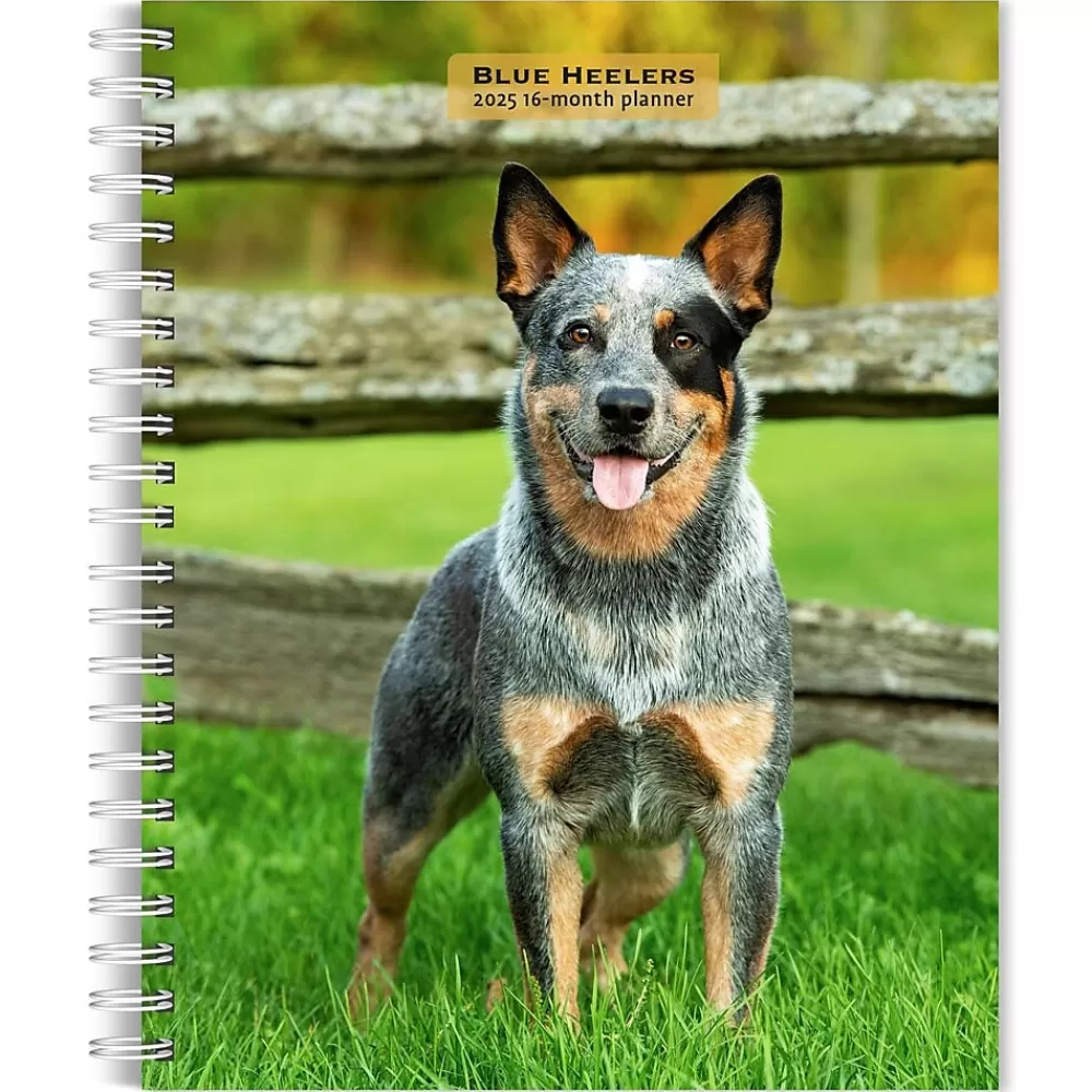 BrownTrout 2025 Planners<2025 Blue Heelers 6" x 7.75" Weekly Engagement Planner, Paper Cover, Multicolored (9781975483142)