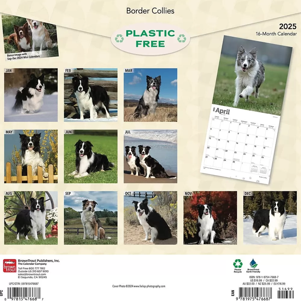 BrownTrout 2025 Calendars<2025 Border Collies 12" x 12" Monthly Wall Calendar (9781975476687)