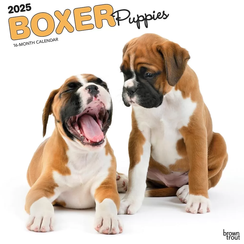 BrownTrout 2025 Calendars<2025 Boxer Puppies 12" x 12" Monthly Wall Calendar (9781975476717)